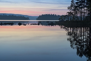 Category Scandinavia Prints: Evening mood in the Glaskogen nature reserve