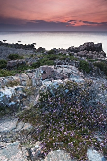 Category Scandinavia Prints: Evening mood, Hovs Hallar coastline