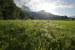 Evening mood near Lenggries with a view of the Brauneck