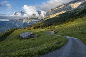 Evening mood, path leads to mountain huts