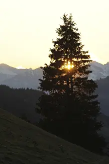 Evening, mountains, mountain, mountain