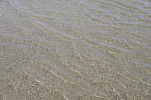 Evenly flowing waves on a sandy beach