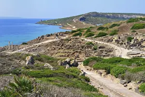 Excavations of the ancient city Tharros