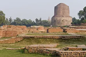 Excavations at the Dhamek Stupa