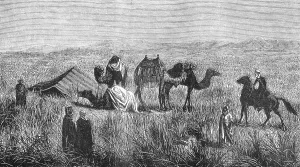 Excursion of a group of Arabs to the northern steppe of Algeria, tent, vegetation, camels, riders, travelling, historical illustration 1886
