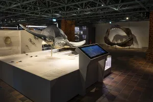 Exhibition, Exhibition room, German Oceanographic Museum