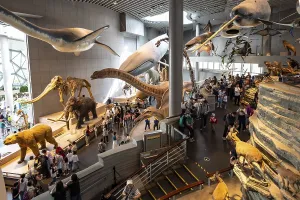 Exhibition, Exhibition rooms, Shanghai natural history museum