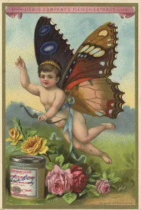 Exotic butterfly among red and yellow roses