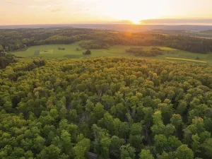 Expansive view of a forest and open fields in the sunset light