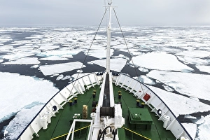 Category Scandinavia Prints: Expedition Boat navigating through melting pack ice