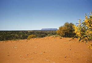 Expedition of the Melbourne Grammar School, Northern Territory, Australia, 1956, distant view of Mount Conner, Oceania