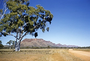 Expedition of the Melbourne Grammar School, Northern Territory, Australia 1956 Landscape of the Macdonnell Range near Alice Springs