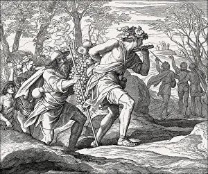 Expedition Returns, Old Testament