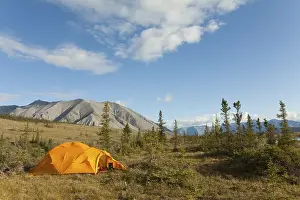 Expedition tent, arctic tundra
