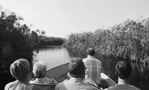 Exploring the Okavango Delta, the World's Biggest Inland Delta
