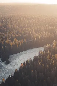 Extensive forest in the golden light of sunset that radiates peace and quiet