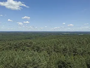 Extensive view of a dense green forest under a blue sky with few clouds