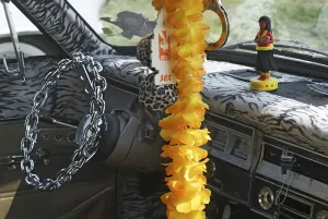 Extraordinary steering wheel and dashboard of an American car