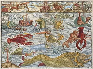 Fabeltiere und Fabelwesen, Landungeheuer und Meeresungeheuer