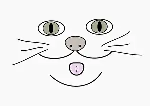Face of the cat
