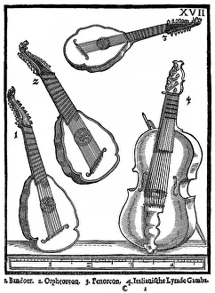 Facsimile of a plate with a bass viol and plucked string instruments