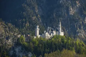 Fairytale Neuschwanstein Castle nestled in wooded mountains