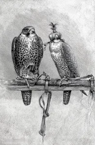 Falcon and hunting falcon on a perch