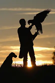 Falconer with golden eagle and hunting dog at sunset