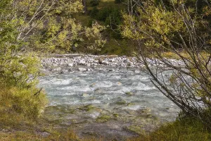 Fall foliage at the Riss creek flowing through the Eng valley