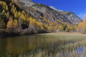 Fall foliage seen from the Malta Hochalm road