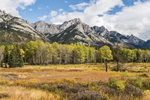 Fall Mountain Landscape, Cockscomb Mountain