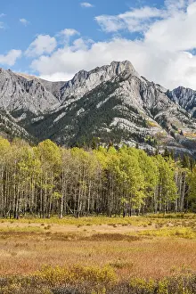 Fall Mountain Landscape, Cockscomb Mountain