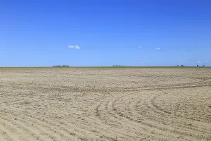 Fallow field with tractor tracks near Lakin in Kansas