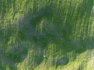Fallow land. Aerial view. Drone shot