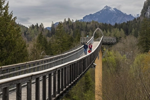 A family is enjoying the views from a treetop walk in Ziegelwies