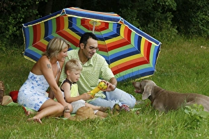 Family with Weimaraner under parasol