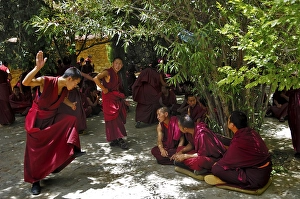 The famous discussin monks at the Ganden convent (4300m) near Lhasa