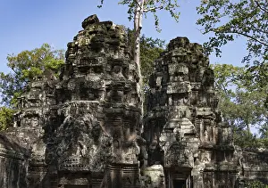 The famous Ta Prohm temple in Angkor Wat, Cambodia
