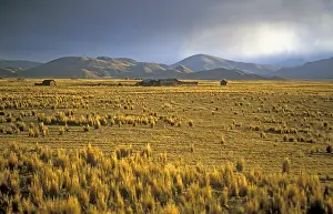 Farm, Andean highlands between Cusco and Puno