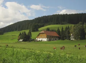 Farm with chapel and cows in Titisee