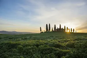 Farm with cypress trees, sunrise