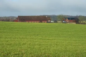 Farm by green field in winter in Ystad Municipality