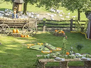Farm scene with picnic table, pumpkins