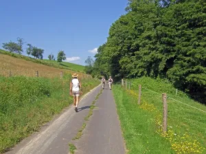 Farm track, fields, meadows, trees, hikers