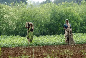 Farm workers on a rainy monsoon day