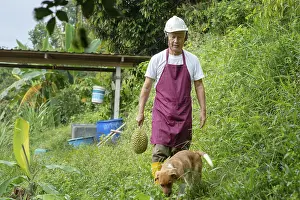 Farmer holding Musang king durian in orchard