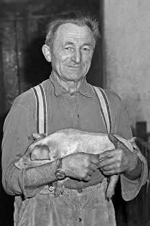 Farmer holding a piglet in a cowshed