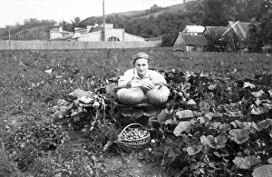 Farmer with pumpkin and beets, historic photograph