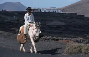 Farmer riding donkey, Canary Islands