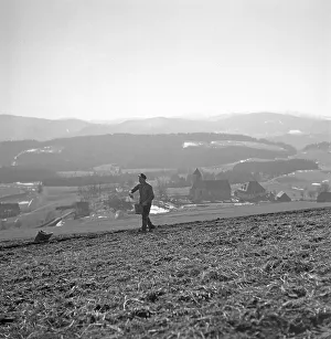 Farmer walks over a field and sows, ca